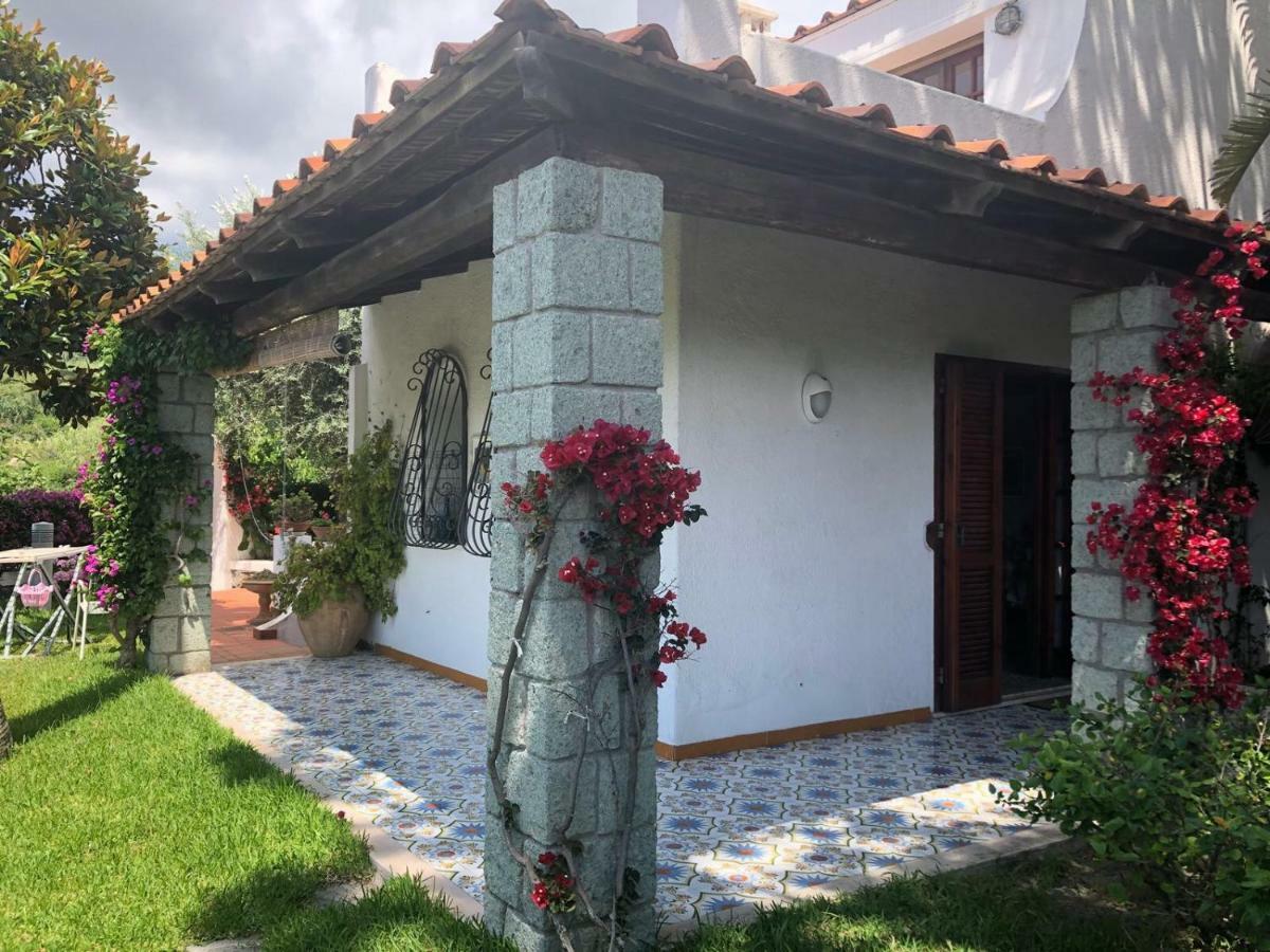 Villa Moma Giardino, Tennis E Piscina Panoramica ايسكيا المظهر الخارجي الصورة
